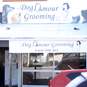 Dog L’amour Grooming