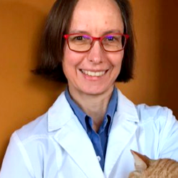 Dr Sara Vogler Veterinarian