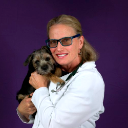 Dr Therese McCarthy Veterinarian