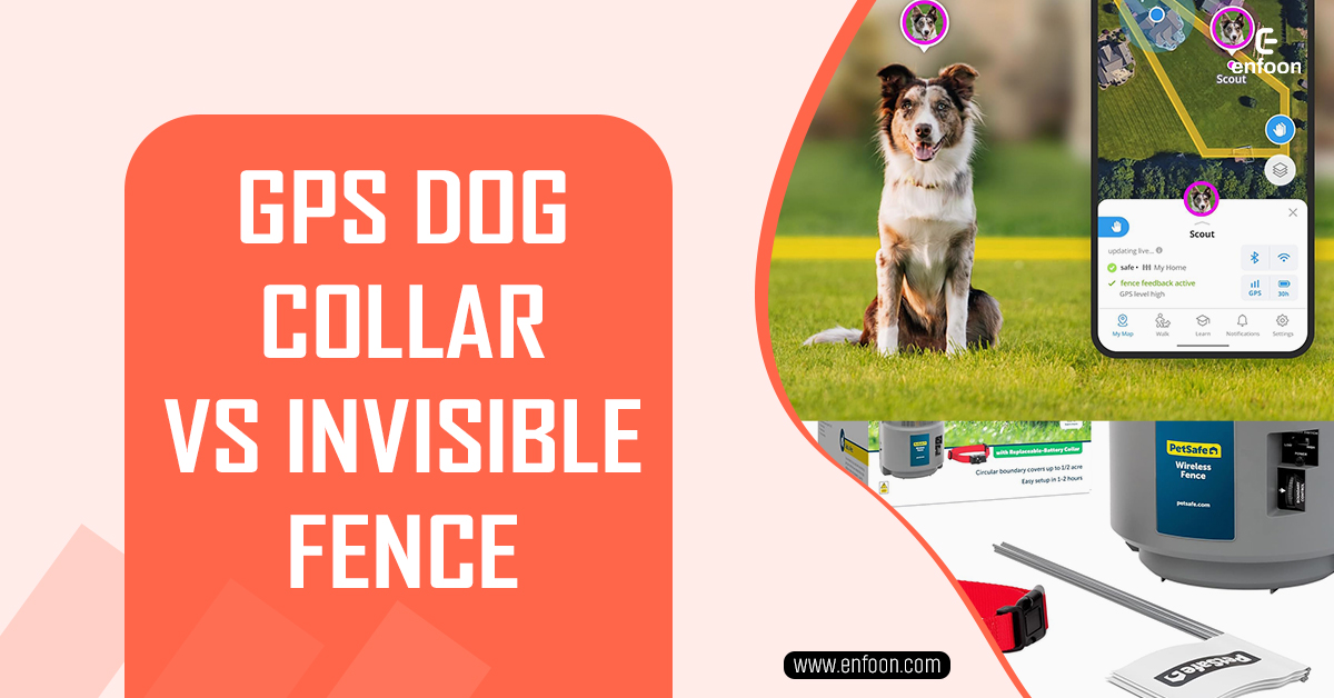 GPS Dog Collar vs Invisible Fence