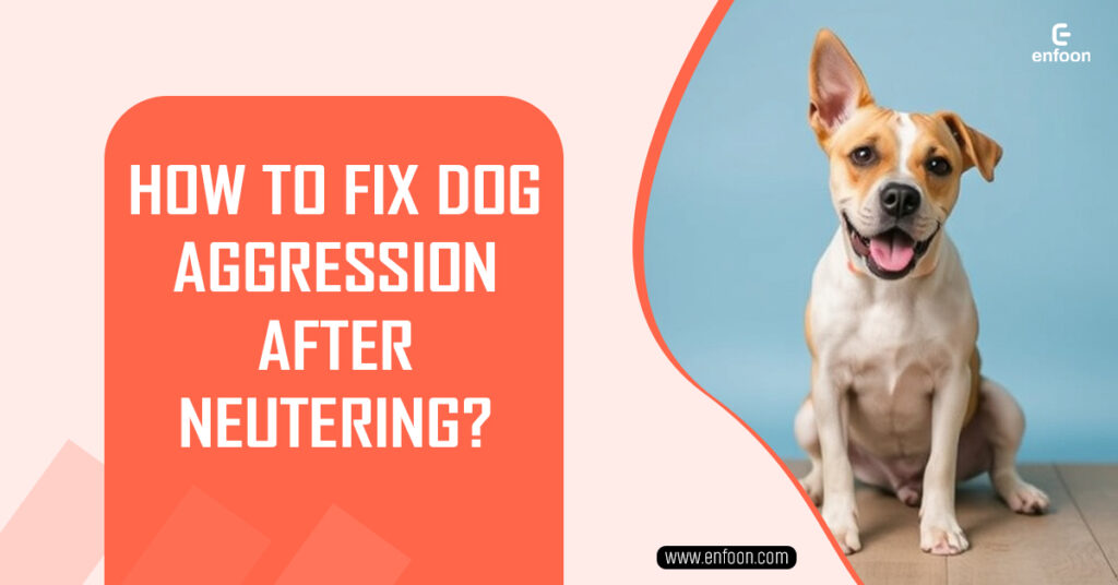 How to Fix Dog Aggression After Neutering