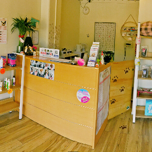 KOOHIKI Spa and Pets Grooming Salon