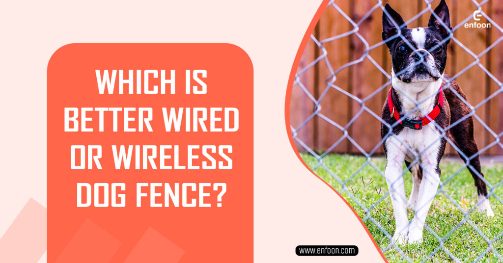 Which Is Better Wired Or Wireless Dog Fence